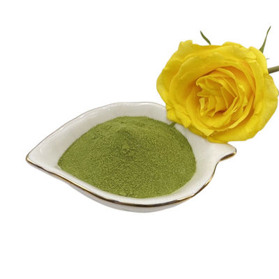 Natural Growth Seaweed Extract Fertilizer 40% Seaweed Polysaccharides Green Powder