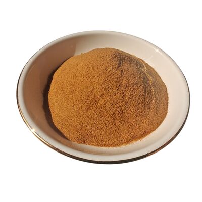 استخراج الطحالب البحرية الطبيعية مصدر مركز للمغذيات الزراعية لدعم نمو النباتات ومقاومة الإجهاد